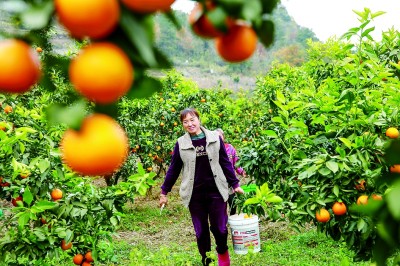 锚定目标,打好年底“收官仗” 锚定目标,打好年底“收官仗”