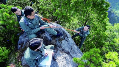 “植物界大熊猫”重生传奇 “植物界大熊猫”重生传奇