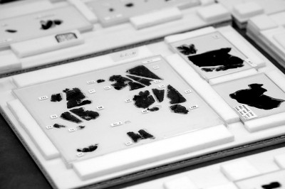 在古代语言学文献中发掘“潜理论” 在古代语言学文献中发掘“潜理论”