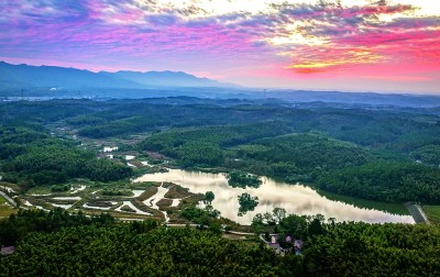 保护扬子鳄 保护扬子鳄