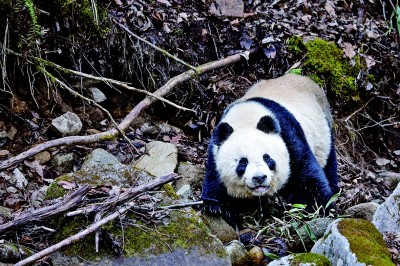 与自然之美相逢——走近记录自然的青年摄影师 与自然之美相逢——走近记录自然的青年摄影师