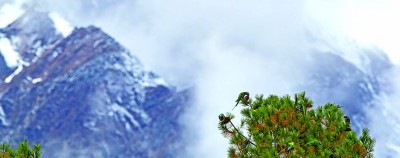 与自然之美相逢——走近记录自然的青年摄影师 与自然之美相逢——走近记录自然的青年摄影师