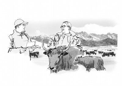 “牛博士”的玉树故事 “牛博士”的玉树故事