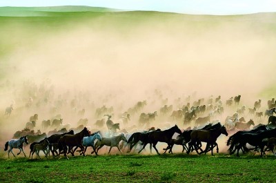 光明文化周末：行走丝绸之路