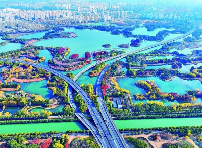 【大美中国】冬日湿地