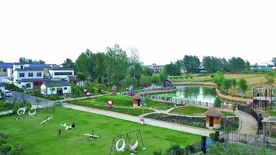 河南省南阳市唐河县滨河街道王庄村：一棵红薯催生“甜蜜链”