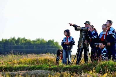 生机盎然,这是咱更美更俏的中国 生机盎然,这是咱更美更俏的中国