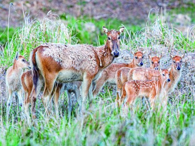 生机盎然,这是咱更美更俏的中国 生机盎然,这是咱更美更俏的中国