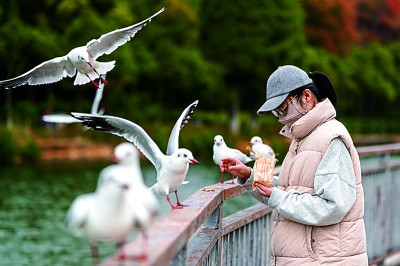 城市湿地共生 绘就灵动画卷