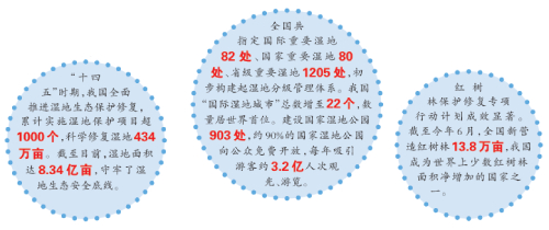 城市湿地共生 绘就灵动画卷