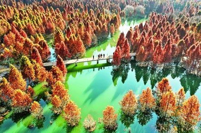 【大美中国】假日时光