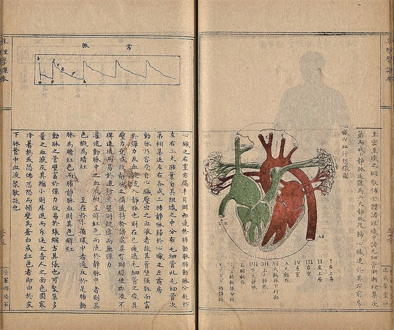 第十一次古籍数字资源联合发布——超16.1万部文献飞上“云端”