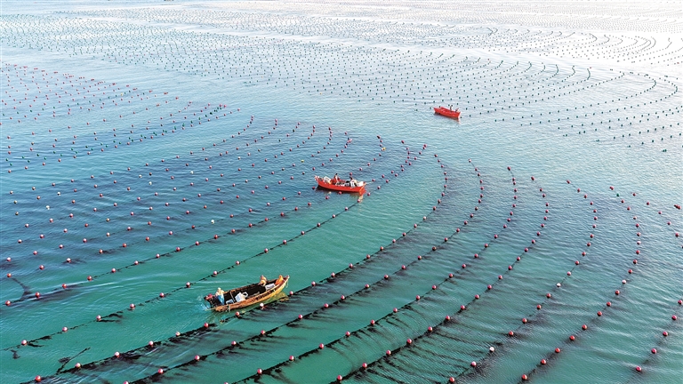 【大美中国】耕海