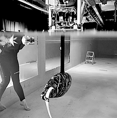 软体机器人:柔软的智能“生命” 软体机器人:柔软的智能“生命”