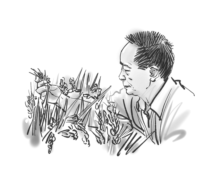 清癯的丰饶——追忆袁隆平先生