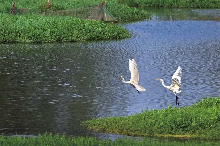 2026,大美中国持续焕新! 2026,大美中国持续焕新!