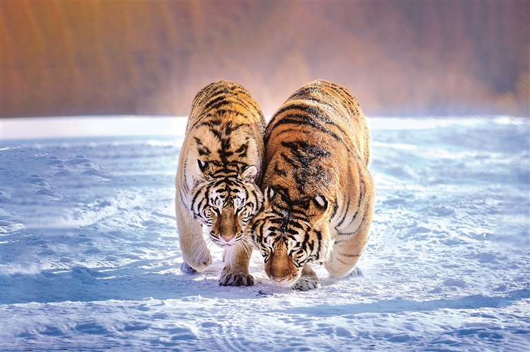 2026,大美中国持续焕新! 2026,大美中国持续焕新!