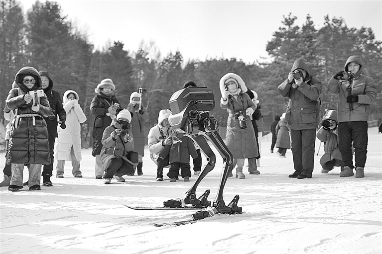 机器人竞技冰雪中