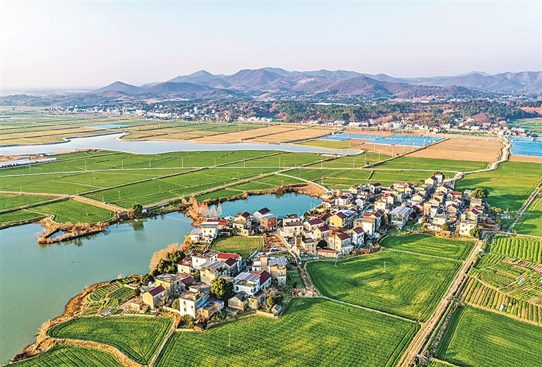 【大美中国】冬日水乡