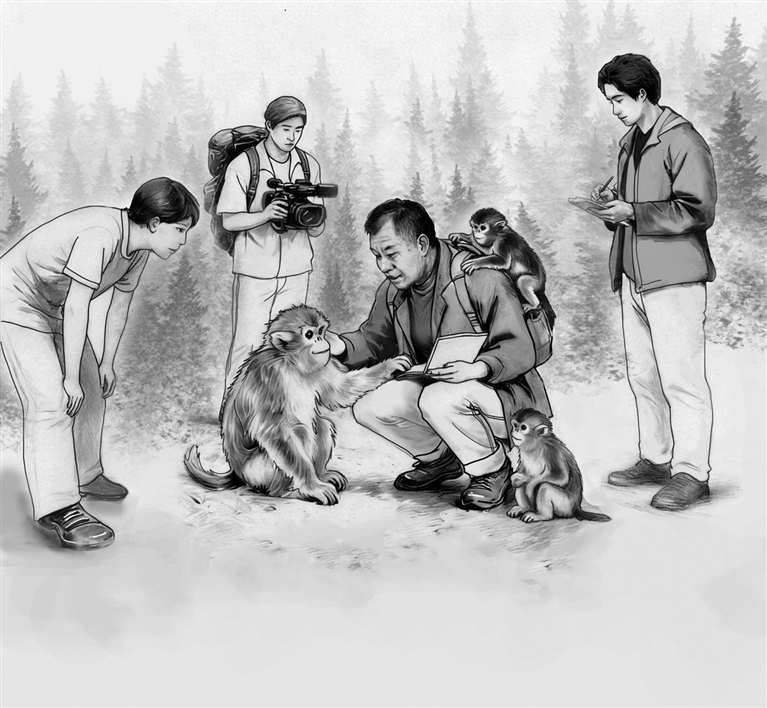 西北大学金丝猴保护与研究团队：守护山林深处的“金色精灵”