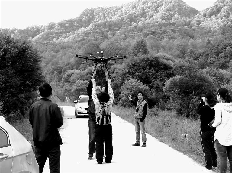 西北大学金丝猴保护与研究团队：守护山林深处的“金色精灵”