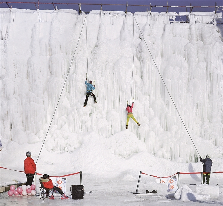 冰雪之上 生机勃勃