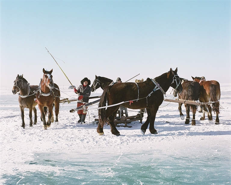 冰雪之上 生机勃勃