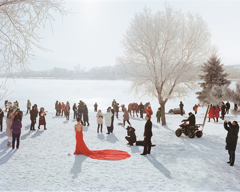 冰雪之上 生机勃勃