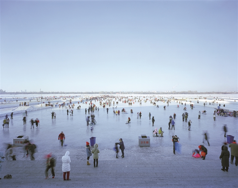 冰雪之上 生机勃勃