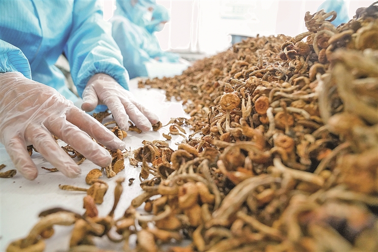 牢记食品安全知识，很重要