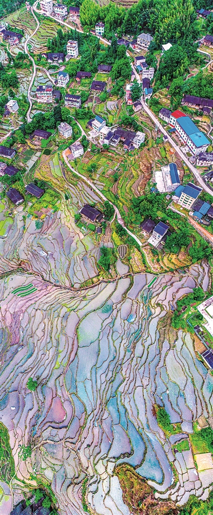 同守碧水青山 赓续生态文脉——生态文化交流为两岸融合发展注入新动力