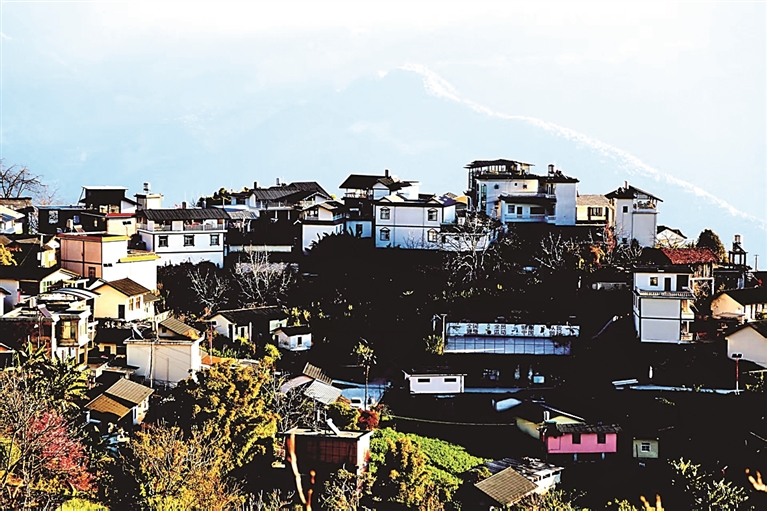 云南省泸水市六库镇阳坡村：峡谷村寨的“增收账”