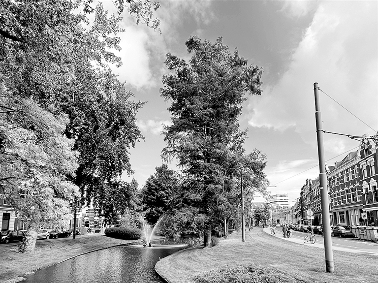 海平面下的城市智慧:缓解“大城市病”,鹿特丹做对了什么? 海平面下的城市智慧:缓解“大城市病”,鹿特丹做对了什么?