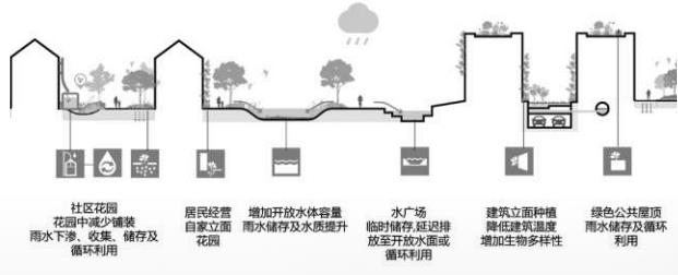 海平面下的城市智慧:缓解“大城市病”,鹿特丹做对了什么? 海平面下的城市智慧:缓解“大城市病”,鹿特丹做对了什么?
