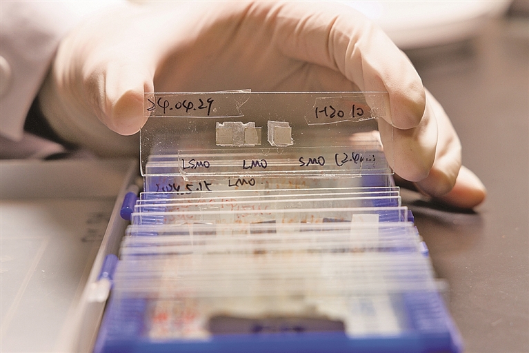 【瞧!我们的前沿科技】信息存储技术或迎来跨越式革命 【瞧!我们的前沿科技】信息存储技术或迎来跨越式革命