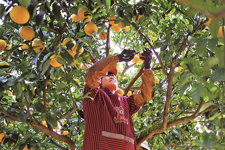 让立法精准对接生态治理需求 让立法精准对接生态治理需求