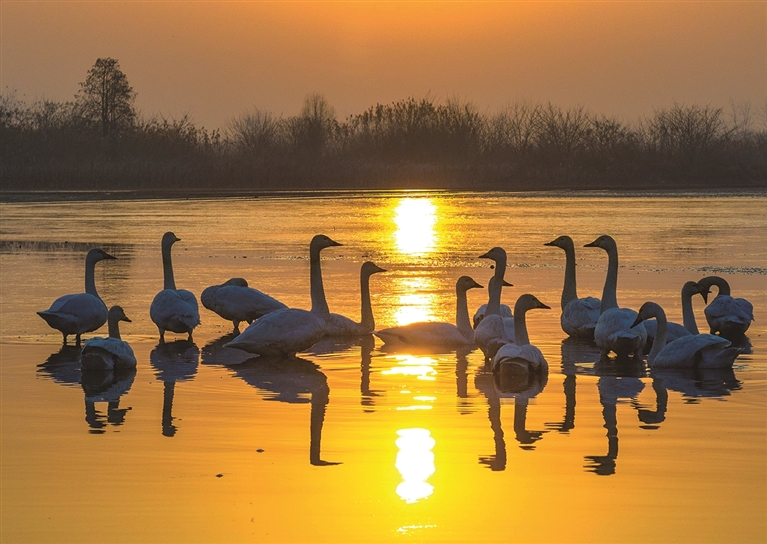 让立法精准对接生态治理需求 让立法精准对接生态治理需求