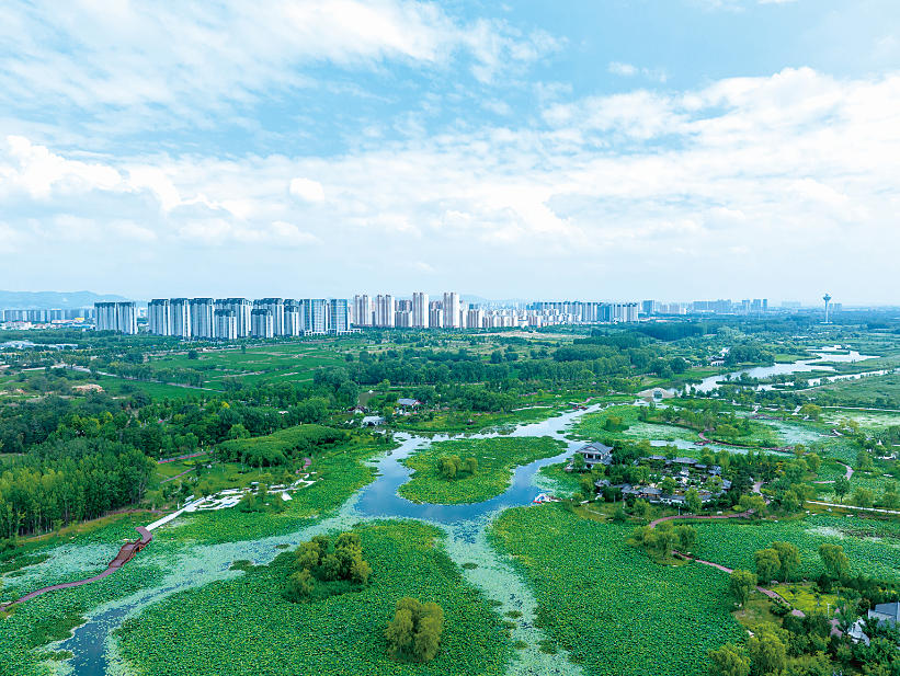 壮美河山,有它们守护 壮美河山,有它们守护