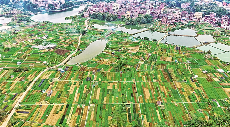 【大美中国】冬日田园