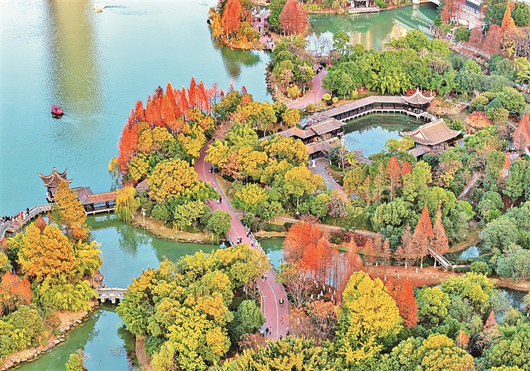 【大美中国】湿地美