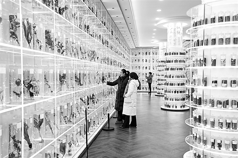 宁夏隆德：发展中医药康养产业