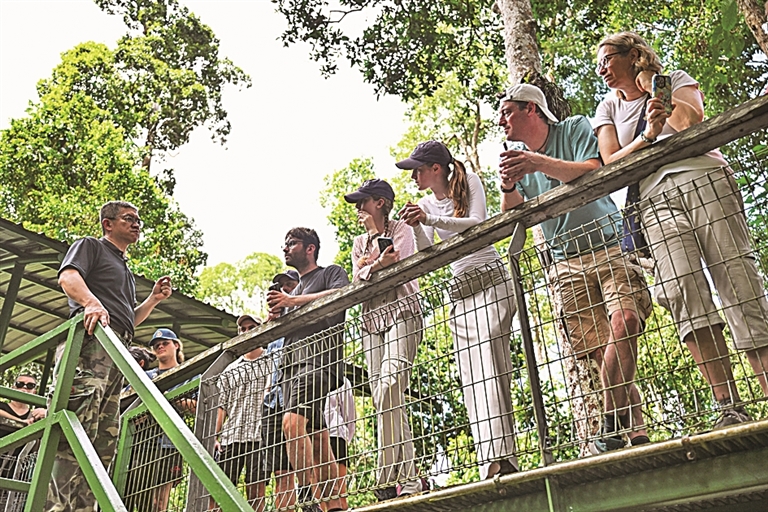守护雨林中的马来熊