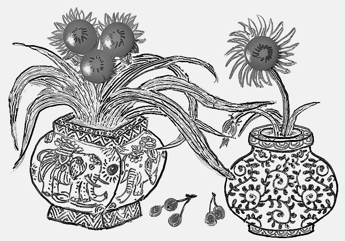 当言语无法抵达时——《在母亲床边画画》编后