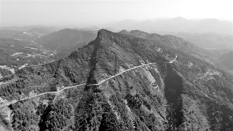 寻回失落的寒武纪，中国科学家找到了“亲历者”