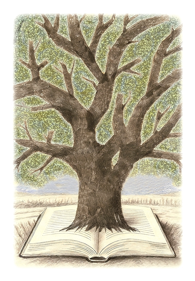 我为陌生爷爷买图书