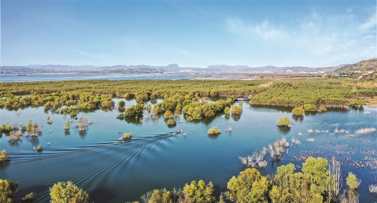 河南淅川：丹江湿地 候鸟乐园