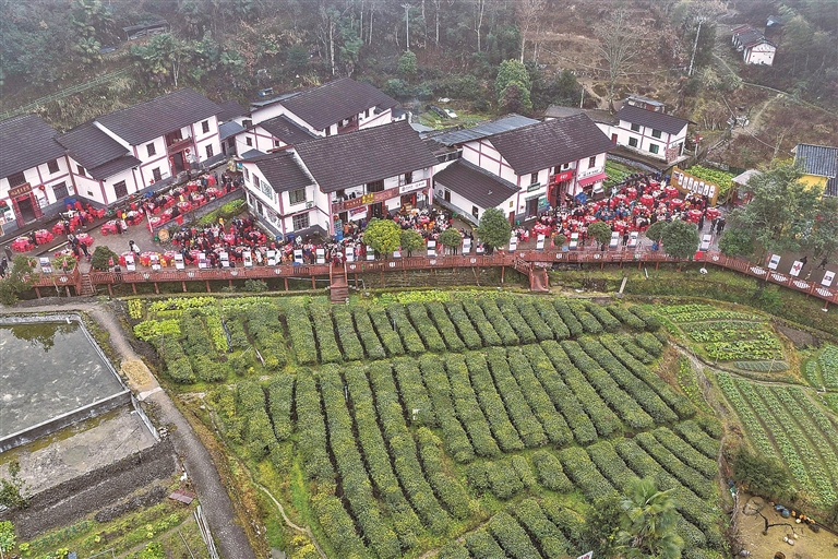 【大调研，我们在行动】十年“提质换挡”，神山村惊人巨变