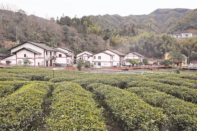 【大调研，我们在行动】十年“提质换挡”，神山村惊人巨变