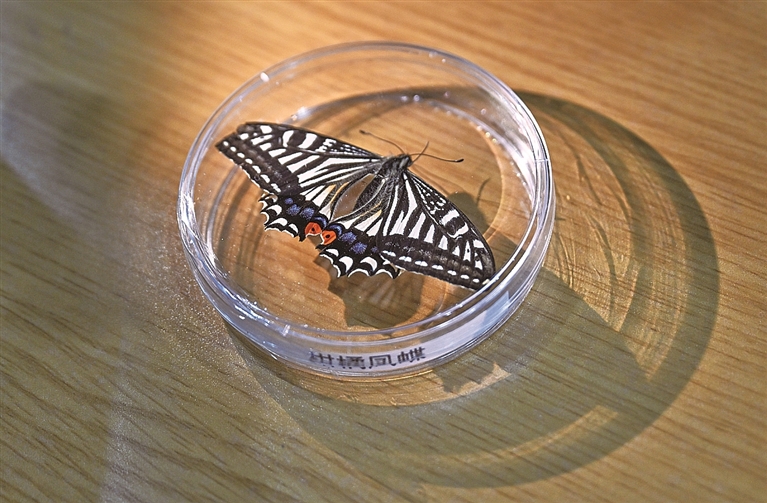 “神农开物2号”在轨试验取得新进展