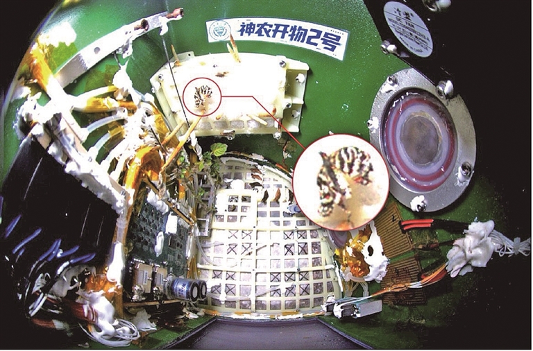 “神农开物2号”在轨试验取得新进展